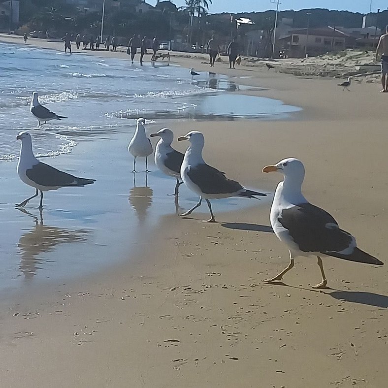 lindo sobrado com 4 quartos