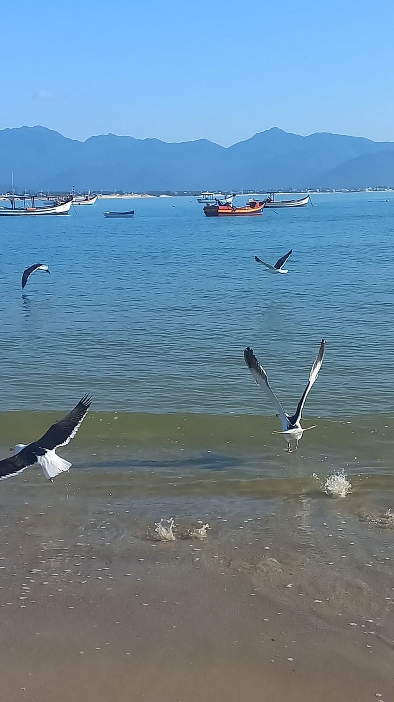 pé na areia com piscina